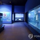 위드수산 이미지