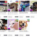 포항중앙동물병원 이미지