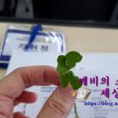 나도 쌤 강사양성과정 이미지