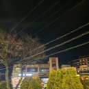 쏭스핫도그제주대점 네이버블로그
