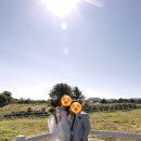 제주 웨딩 스냅 촬영 후기 - 키스앤라이드 강강강강강추