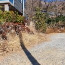 월영동210 이미지