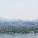 압구정-245 이미지