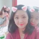 순하네회집