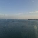 오동도 바람골 이미지