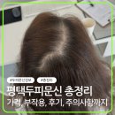도트(Dot)헤어살롱 | 평택두피문신 가격, 통증, 유지력, 실제후기까지 한 번에 정리했습니다.