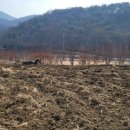 드림스포츠 센터 이미지