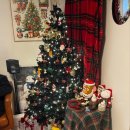 스테이 원평호 이미지