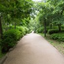 마송중앙초교 이미지