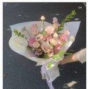 피네화 이미지