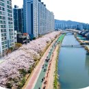 온천천일대5 이미지