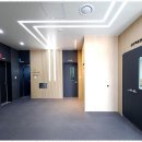 디자인율 이미지