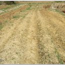 샘물농장 이미지