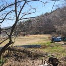 내덕농장 이미지