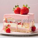 결혼준비7 스튜디오 | &#39;스텔라그라피&#39; 초가성비 세미웨딩 촬영후기 (ft. 촬영 시 꿀팁, 소품 추천)