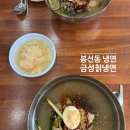 광주 냉면 맛집 금성칡냉면, 칡물냉면 왕만두 내돈내산 후기