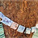 바로갈비 이미지