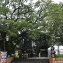 송포민박 | 치앙마이 day2. 치앙마이 네일아트(Gangnam style),씨야어묵국수, 도이수텝 야경투어,청도이 로스트 치킨