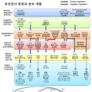 새천년건강한약국 이미지