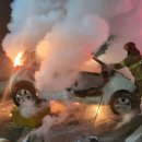 진해대로-2 이미지