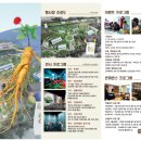 인삼엑스포주차장 이미지