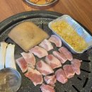 제주시 흑돼지 맛집 도남돼지 제주 삼화 맛집 추천
