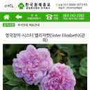 한국원예종묘 이미지