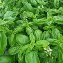 김주일농장 이미지