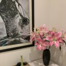 스파 라 스파(Spa la Spa) 이미지