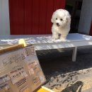 논현스타약국 이미지