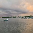 파라이소 이미지