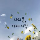 카라뷰티에스테틱 이미지