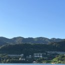 포레스트모가 이미지