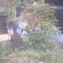 해풍농장 이미지