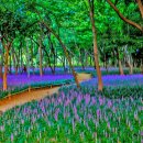 태화강 철새공원 이미지