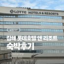 롯데리조트 옥외수영장 | 김해 롯데리조트 사우나 수영장 워터파크 조식 부대시설 후기