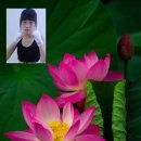 국제킥복싱 이미지