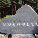 제131차/충남/태안/안면도 휴양림+수목원(2024.4.25) 이미지