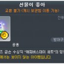 해피버스데이