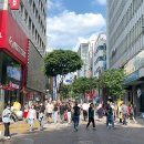 뉴-명동의류 이미지