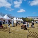 제주대학교 이미지