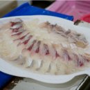 청호활어회센터 이미지