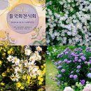 들국화가든 이미지