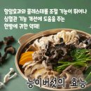 5 약초)능이버섯의 효능 이미지