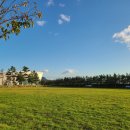 거제스포츠파크 풋살장 이미지