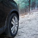 감악산 캠핑숲 이미지