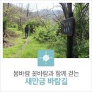 회현면사무소 | 봄바람 꽃바람과 함께 걷는 새만금 바람길
