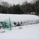 터골농장 이미지