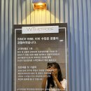 두피모발 관리사  (자격증반) | 해운대 두피관리 WT메소드 해운대점 지루성 두피케어 솔직후기