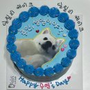 딜릴리케이크